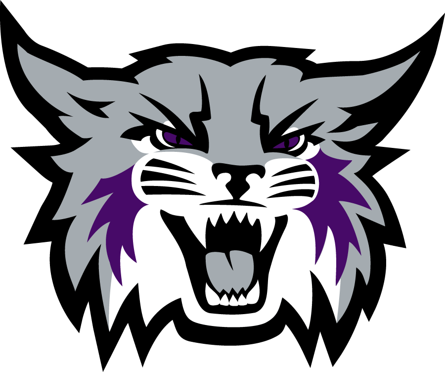 Weber State Wildcats 2023-Pres Secondary Logo diy DTF decal sticker